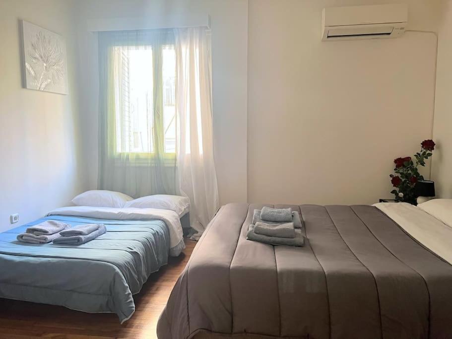 Amazing 3Bdr Apt With Unique Roof Garden In Plaka Афины Экстерьер фото
