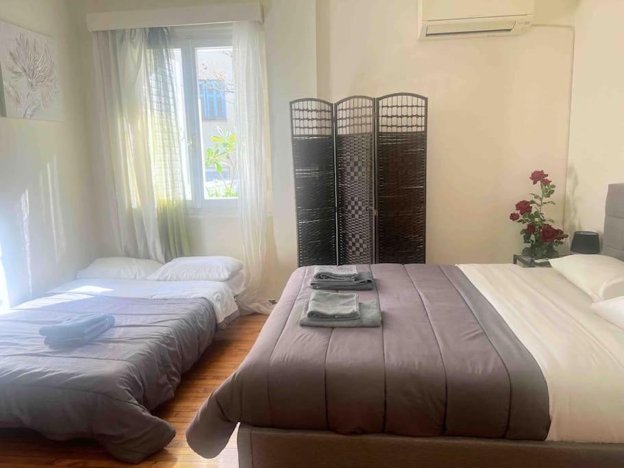 Amazing 3Bdr Apt With Unique Roof Garden In Plaka Афины Экстерьер фото